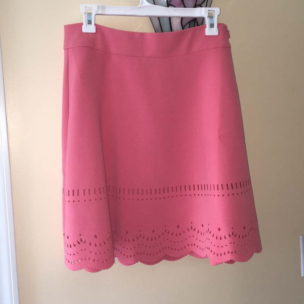 Brand new, tags-on A-Line Loft skirt